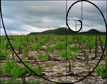 Visite commentée de la photo "Arboras, Hérault, Mai 2007" de raymond Depardon PIC_FIBO1