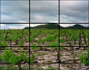 Visite commentée de la photo "Arboras, Hérault, Mai 2007" de raymond Depardon PIC_FIBO4