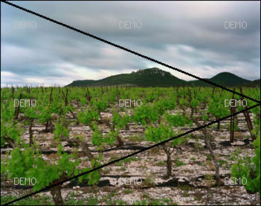 Visite commentée de la photo "Arboras, Hérault, Mai 2007" de raymond Depardon PIC_FIBO7