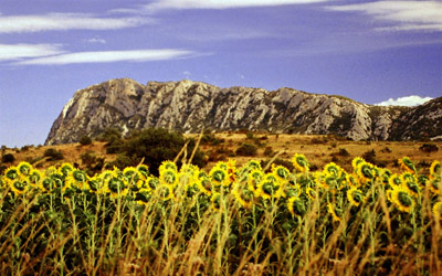 Visite commentée de la photo "Arboras, Hérault, Mai 2007" de raymond Depardon PicSaintLoup