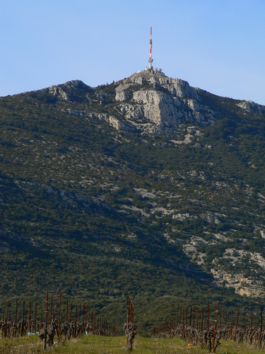 Visite commentée de la photo "Arboras, Hérault, Mai 2007" de raymond Depardon Saint_baudille