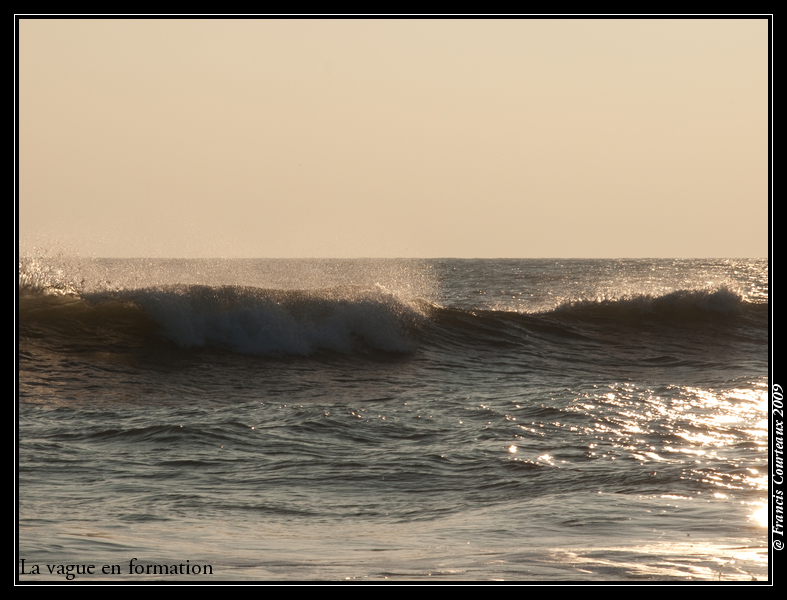 Vagues dans le vent et le soleil d'hiver Vague1_formation